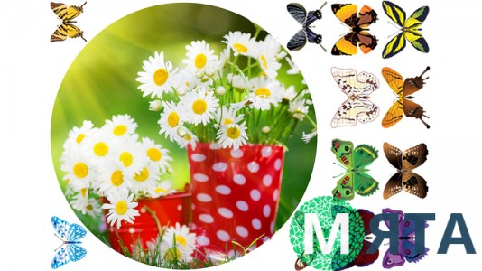 Їстівна картинка "Квіти"