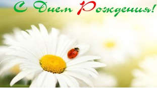 Їстівна картинка "Квіти" 5