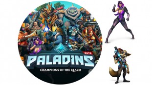 Paladins