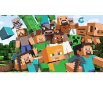 Майнкрафт 5