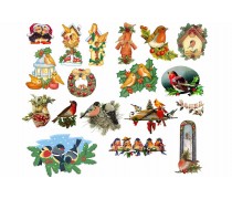 Зимові птахи