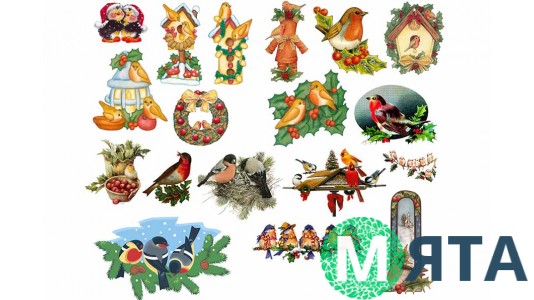 Зимові птахи