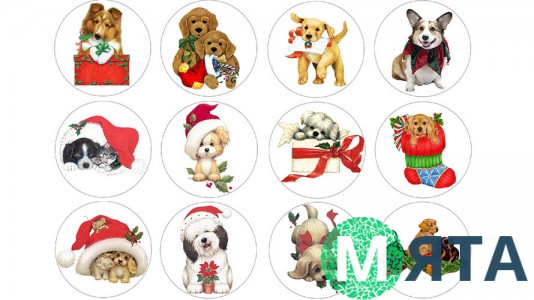 Новорічна картинка 20