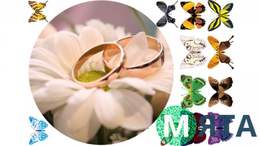 Харчова картинка Весільна 2