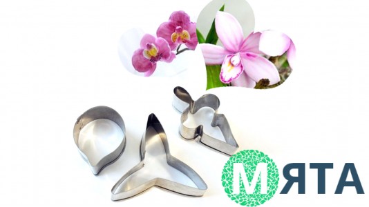 Вирубка металева Орхідея Фаленопсис