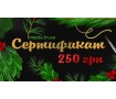 Новорічний Сертифікат 250 грн