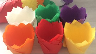 Паперова форма Тюльпан 50х80