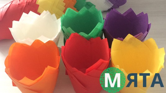 Паперова форма Тюльпан 50х80