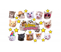 Їстівна картинка Коти 11 