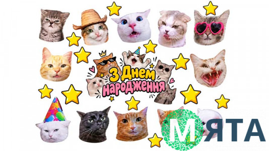Їстівна картинка Коти 11 