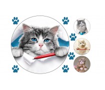 Їстівна картинка Дев'ять життів