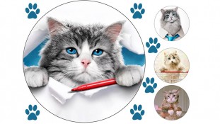 Їстівна картинка Дев'ять життів