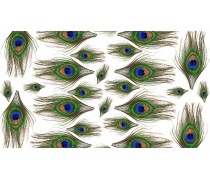 Перо павича