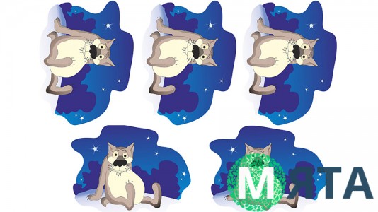 Жив був пес 2