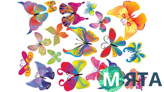 Метелики 3