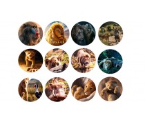 Король Лев 5