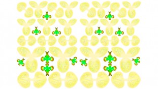 Заготовка для орхідеї 3д №4