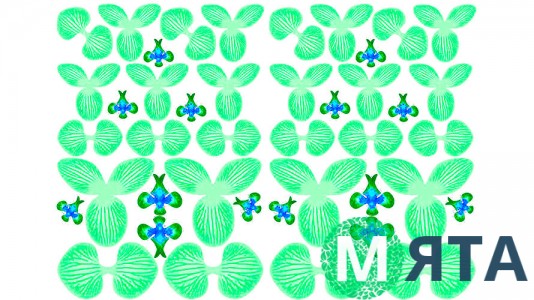 Заготівля для орхідеї 3д №2