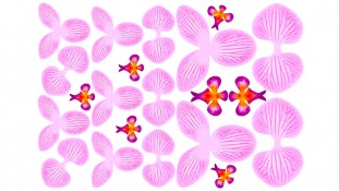 Їстівна картинка Заготовка для орхідеї №3