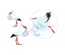 Лелека хлопчик