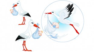 Лелека хлопчик