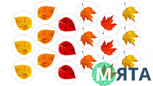 Їстівна картинка Осінній лист 2