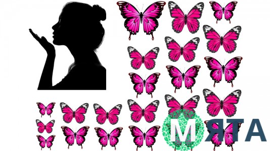 Метелики та Дівчина