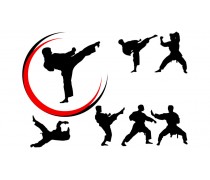 Єдиноборство 5