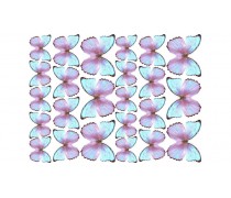 Метелики 10