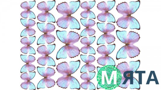Метелики 10