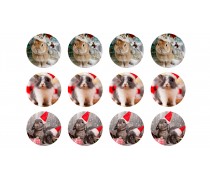 Новорічна картинка Зайці №6