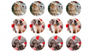 Новорічна картинка Зайці №6