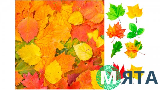 Їстівна картинка Осінній лист 1