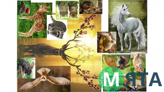 Лісові звірі