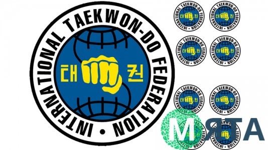 Єдиноборство 7