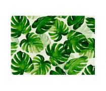 Листя пальми