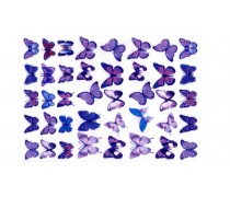 Їстівна картинка Метелики 18