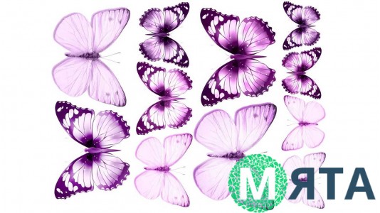 Їстівна картинка Метелики 19