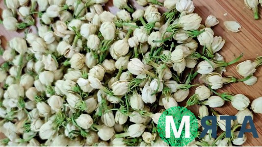 Сушені бутони жасмину