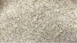 Псилліум (лушпиння подорожника)