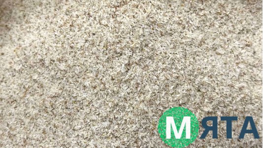 Псилліум (лушпиння подорожника)