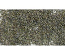 Сушені квітки Лаванди