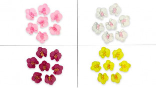 Набір цукрових прикрас Орхідея 4 см, 7 шт