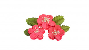 Набір цукрових прикрас рожеві квіти з намистом.