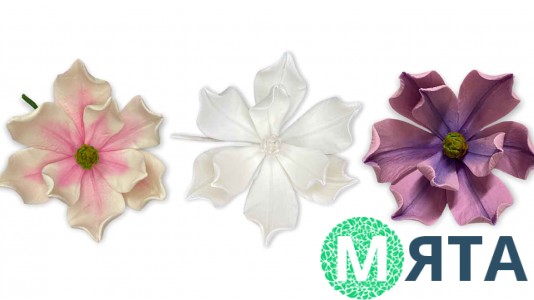 Цукрова квітка Магнолія Преміум