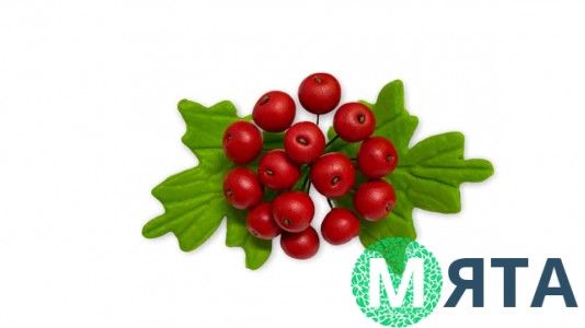 Цукрова прикраса Гілочка Калини