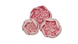 Шоколадні квіти Півонії, набір