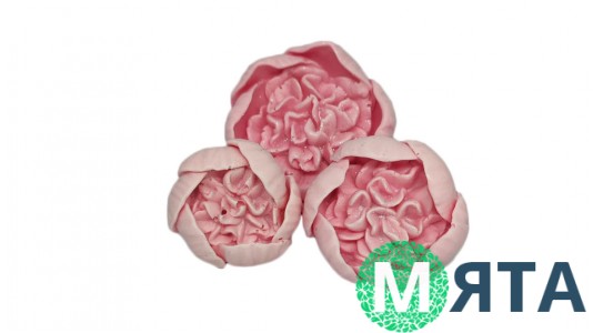 Шоколадні квіти Півонії, набір