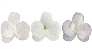 Вафельна Орхідея