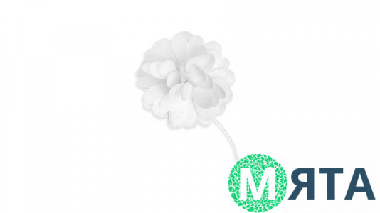 Вафельна Хризантема